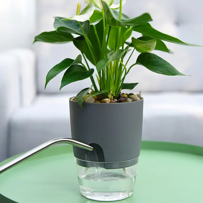 Mood Tech Transparent Double-Layer Self-Watering Flower Pot