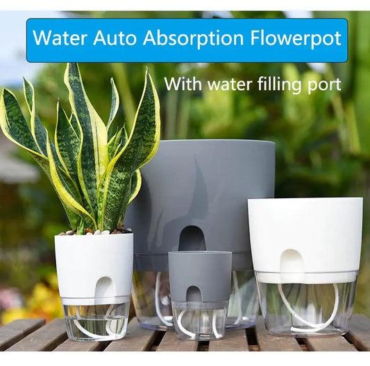 Mood Tech Transparent Double-Layer Self-Watering Flower Pot